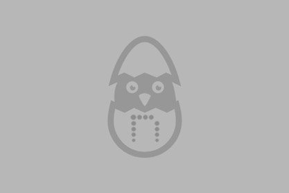 Dibujo de un pollito saliendo de un huevo. El huevo lleva el icono de Neosistec.